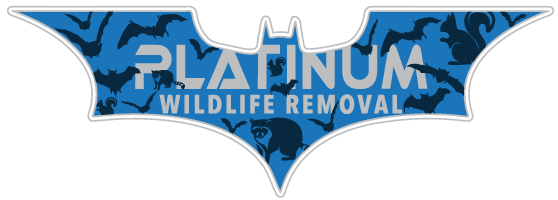 Command Pest Management LLC